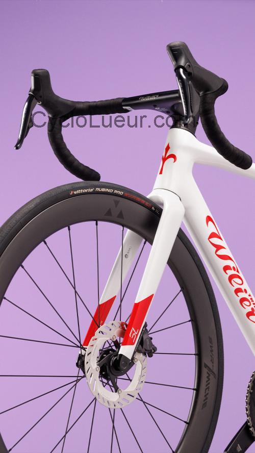 Willier Triestina fiche technique et avis